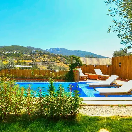 Salep Evi * Kas